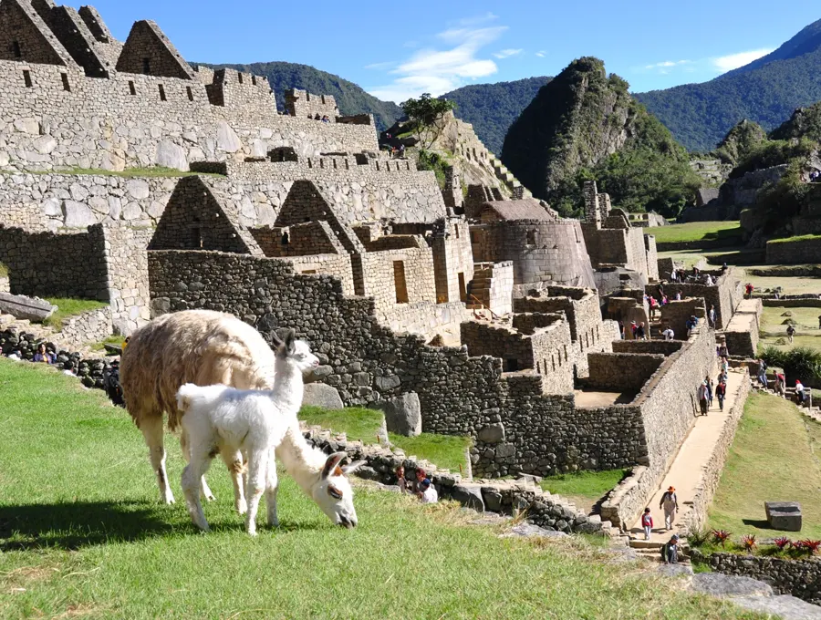 Machu Picchu photos — 10