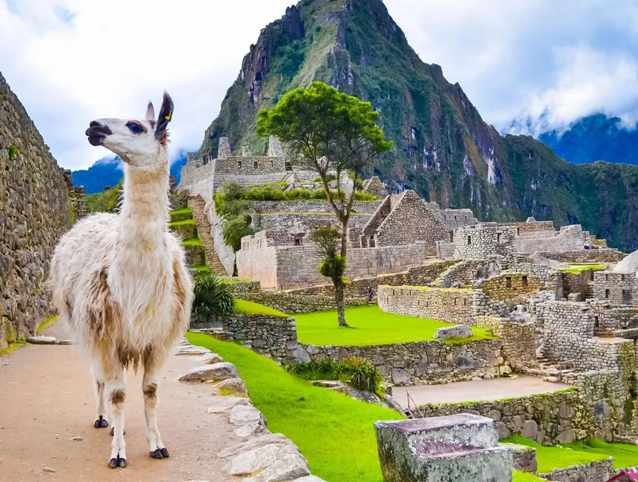 Machu Picchu photos — 18